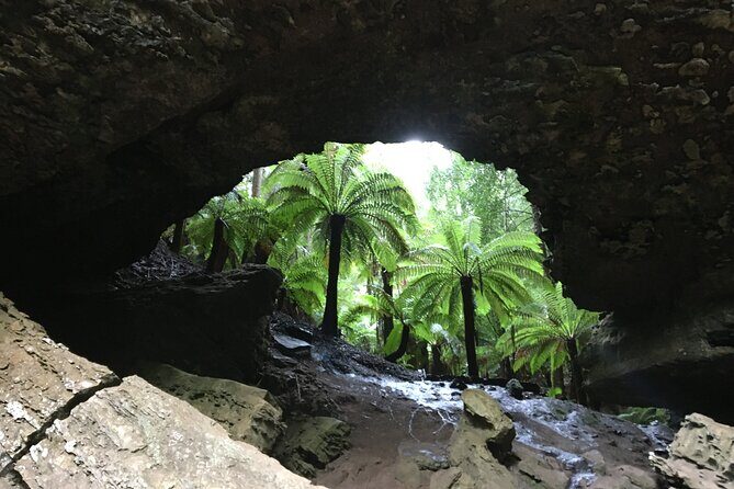 10 Days Ultimate Guided Tour of Tasmania - Comfort Tour - Day 4: Trowutta Arch, Tarkine Drive, and coastal breaks toward Devonport