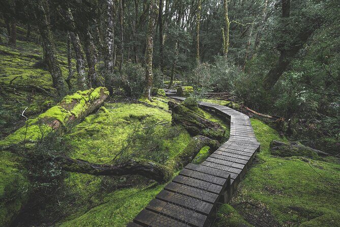 2 day Cradle Mountain and Wineglass Bay - Guide-led value: why the commentary and pacing matter