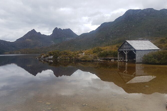 2 Day Cradle Mountain Tour / Hobart return / Inc. Accommodation - Day 1: Russell Falls, Tall Trees, and the Wild West Coast Mood