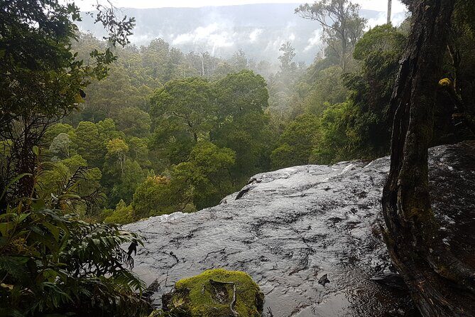 2 Day Cradle Mountain Tour / Hobart return / Inc. Accommodation - Day 2: Cradle Mountain National Park and the Dove Lake Choice