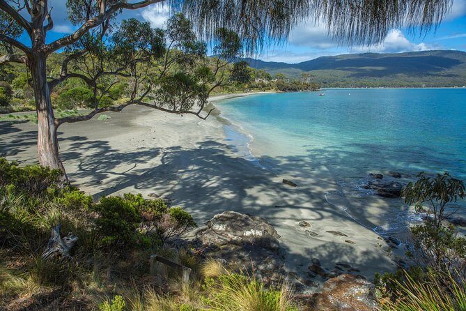 2 Day Tasmanian Highlights Tour - Bruny Island & Port Arthur - The guide factor: how Ben’s style helps the whole day run better