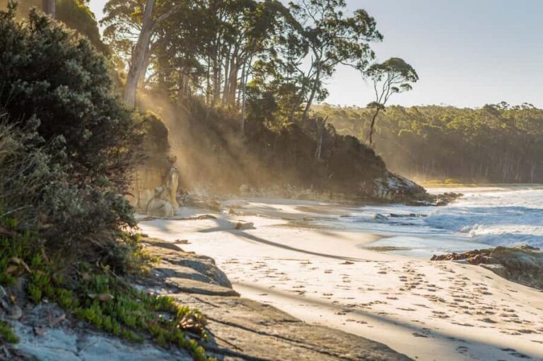 2 Day Tasmanian Highlights Tour - Bruny Island & Port Arthur - Bruny Island: beaches, lagoons, lookouts, and that albino wallaby hope