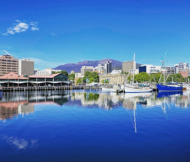 2 Days of Tasmania's Best - City-to-coast pacing: why the minibus approach works
