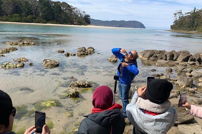 3 day Tasmanian highlights tour – Hobart, Port Arthur and Bruny Island - Port Arthur Day: Eaglehawk Neck Photos, Lavender Break, and Remarkable Cave Steps