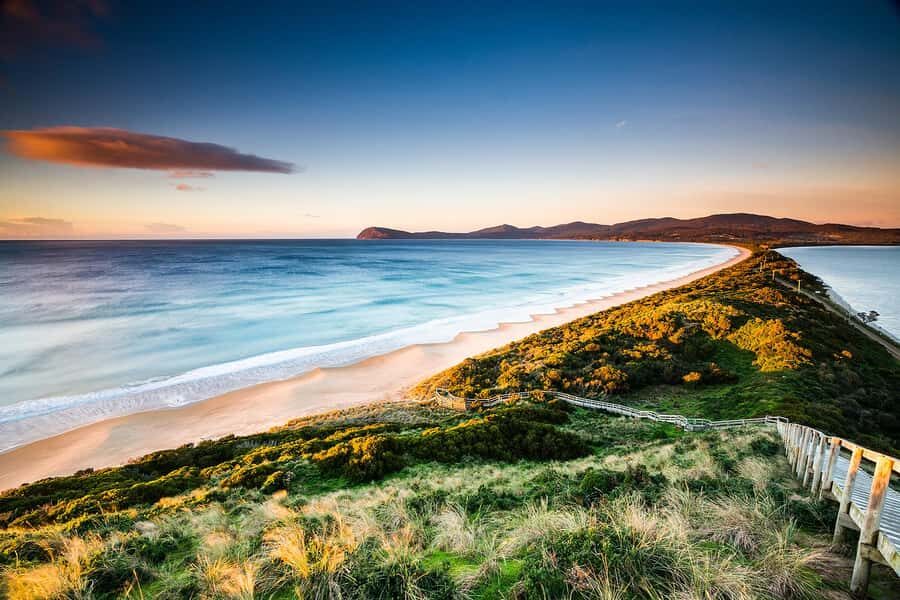 3D Tasmanian Highlights: Hobart, Port Arthur & Bruny Island - Bruny Island on Day 2: beaches, parks, ferry time, and Wicked Cheese