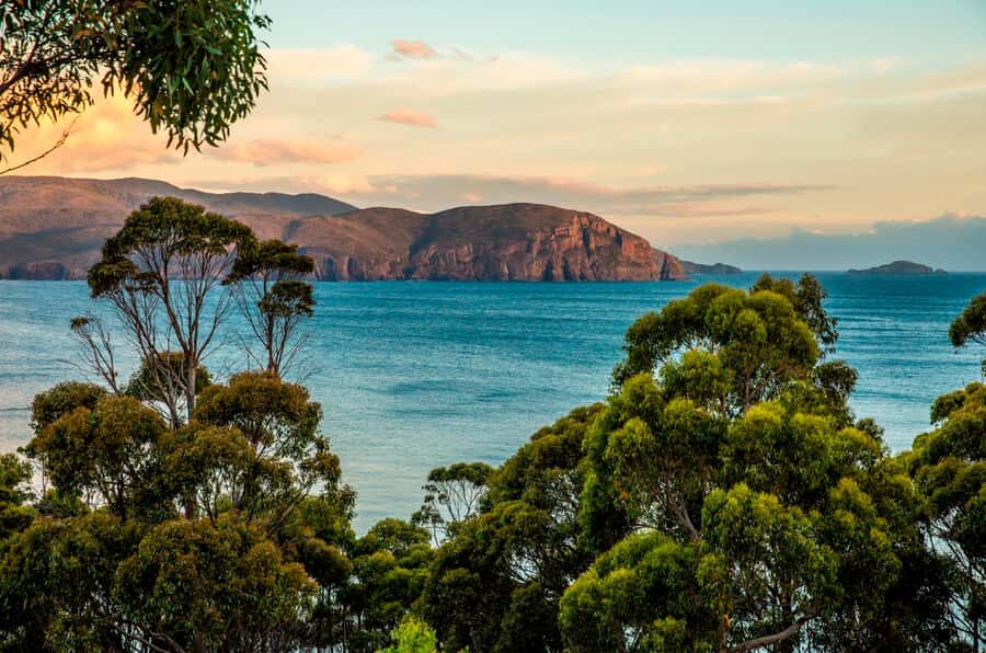 3D Tasmanian Highlights: Hobart, Port Arthur & Bruny Island - Should you book 3D Tasmanian Highlights: Hobart, Port Arthur & Bruny Island?