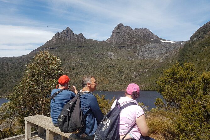 4 Day Wild Tasmania Tour / Wildlife, Nature, Hiking / Inc. Accom - Price and value: what $713.66 buys you on the ground