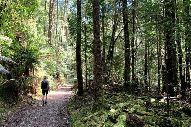 5-Day Best of Tasmania Tour from Hobart - Freycinet National Park early: Wineglass Bay before the rush