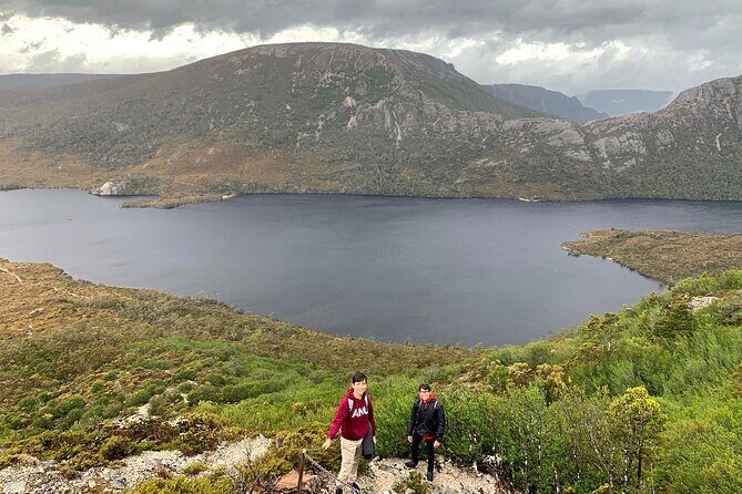 6-Day Tasmanian Explorer Adventure Tour from Hobart - Day 6: Bonorong wildlife sanctuary, Richmond’s colonial streets, and kunanyi at Wellington Park