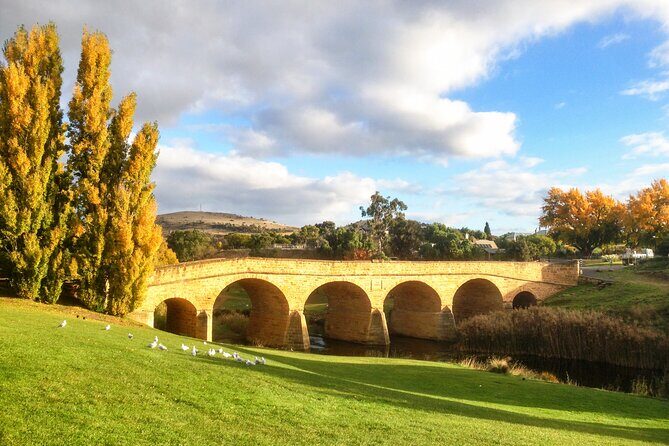 6-Days Discovery Tour of Tasmania - Comfort Style - Cataract Gorge, Bay of Fires, and an overnight in St Helens