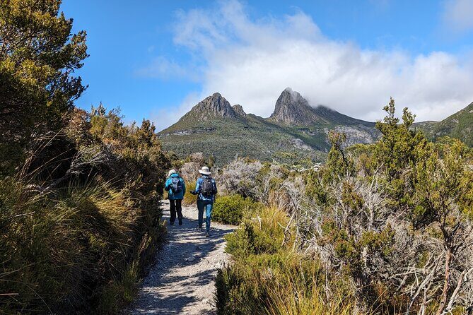 6-Days Discovery Tour of Tasmania - Comfort Style - Freycinet: Wineglass Bay Lookout, Hazards views, and Cape Tourville