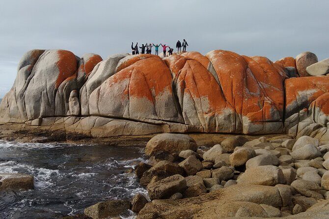7-Day Super Value Tour of Tasmania: Explore Tasmania's West and East Coasts - Value check: what $1,038 buys across Tasmania