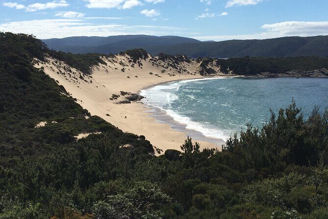 7-Day Super Value Tour of Tasmania: Explore Tasmania's West and East Coasts - Day 3: Cradle Mountain hiking day (Dove Lake Circuit + Marion’s Lookout)