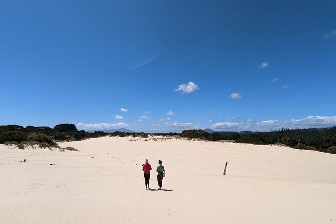 7-Day Super Value Tour of Tasmania: Explore Tasmania's West and East Coasts - Day 4: Cataract Gorge, St Helens lunch stop, Binalong Bay swim time, Bicheno evening