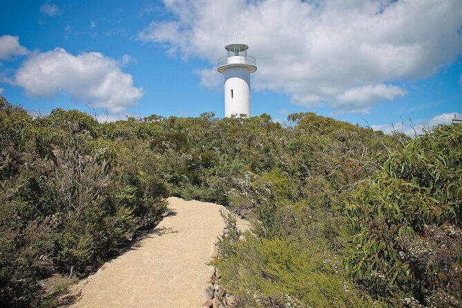 A Day At Wineglass Bay - Honeymoon Bay Swim Stop: Granite Rocks, White Sand, and Time to Cool Off