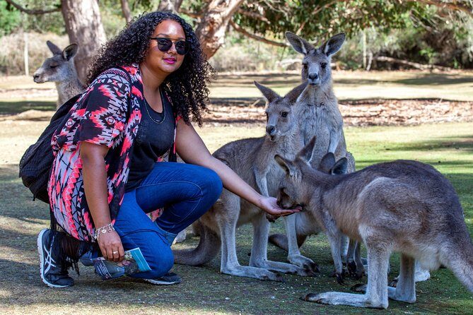 BIG 3 Tasmania - Port Arthur, Wineglass Bay, Cradle Mountain - Who should book this tour (and who should pass)