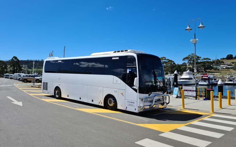 Bonorong & Richmond: Shore Excursion (Private Tour) - Quick Hits: What Makes This Private Shore Tour Work
