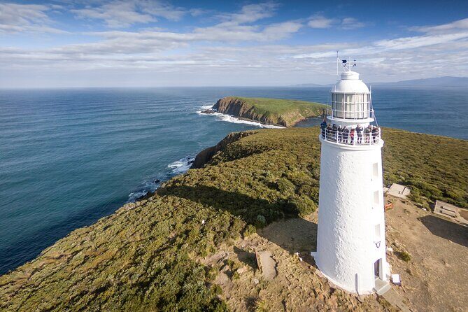 Bruny Island Food, Sightseeing, Guided Lighthouse Tour & Lunch - Key things that make this day work