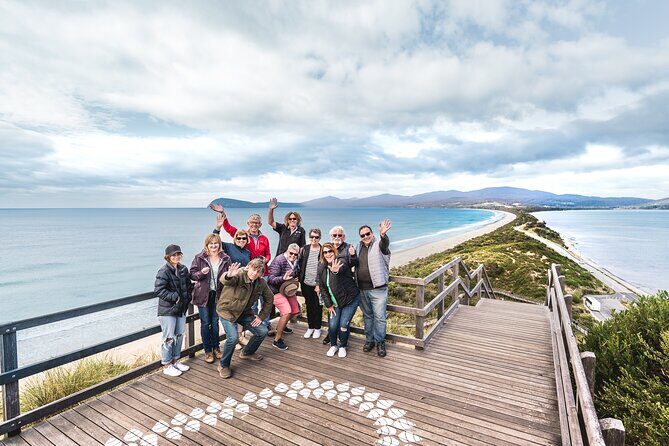 Bruny Island Food, Sightseeing, Guided Lighthouse Tour & Lunch - Morning tea at Adventure Bay: wood-fired bread, award-winning cheeses, and oysters