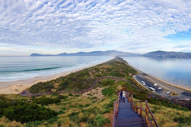 Bruny Island Food, Sightseeing, Guided Lighthouse Tour & Lunch - Cape Bruny Lighthouse: stair climb views and whale-hunting context