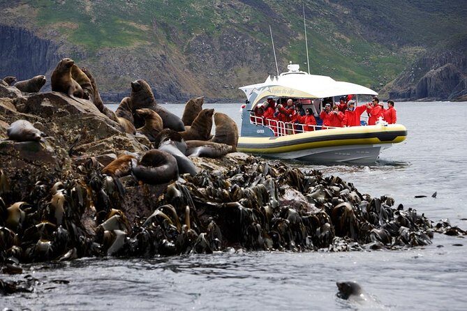 Bruny Island Wilderness Cruise from Adventure Bay, Bruny Island - Key highlights that matter