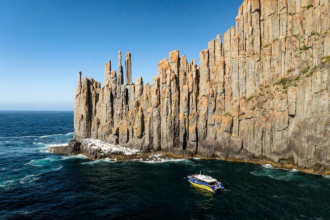 Cape Raoul Cruises Day Tour from Hobart - Key points worth knowing