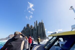 Cape Raoul Cruises Day Tour from Hobart - Getting from Hobart and why the start time matters