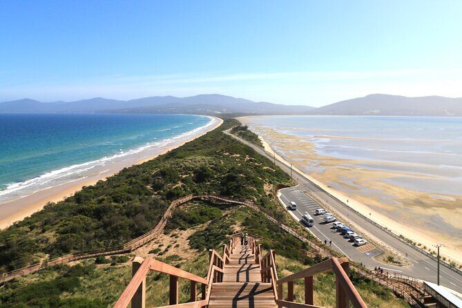 Cape Raoul Cruises Day Tour from Hobart - Price and value: is $172.14 worth it?