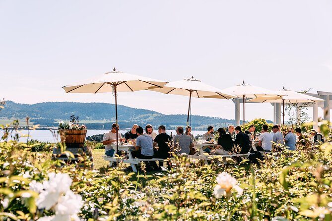 Coal River Wine Hopper - Craigow Vineyard: Rolling Hills and Open Views