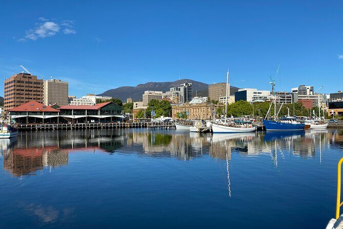 Cruise Ship - Port Arthur Shore Excursion - Hobart - Port Arthur Lavender Farm: a quick sensory stop that helps you exhale