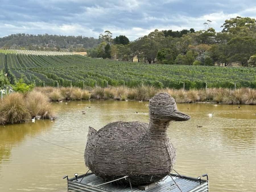 Cruise Ship - Wine Shore Excursion - Hobart - Wicked Cheese Factory to end the day: the savory finish
