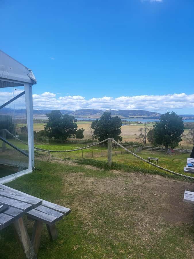 Cruise Ship - Wine Shore Excursion - Hobart - Who should book this Hobart wine tour (and who should skip it)