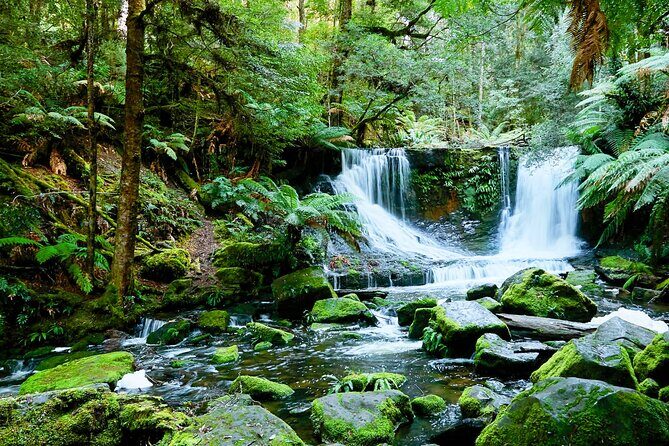 Day Tour in Mt. Field, Mt. Wellington, Bonorong Wildlife Sanctuary and Richmond - Why this Hobart day trip works so well
