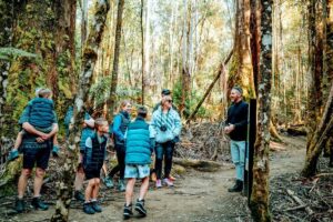 Day Tour in Mt. Field, Mt. Wellington, Bonorong Wildlife Sanctuary and Richmond - The morning pickup and the Derwent River stretch