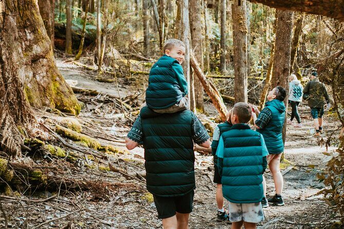 Day Tour in Mt. Field, Mt. Wellington, Bonorong Wildlife Sanctuary and Richmond - Stop 1: Russell Falls in Mt Field National Park