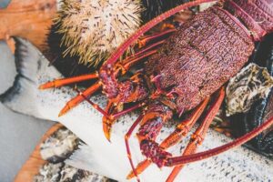Deep-to-Dish: Tasmanian Seafood Experience - Live Harvest on the Water: Periwinkles and Sea Urchins