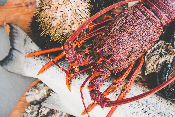 Deep-to-Dish: Tasmanian Seafood Experience - Live Harvest on the Water: Periwinkles and Sea Urchins