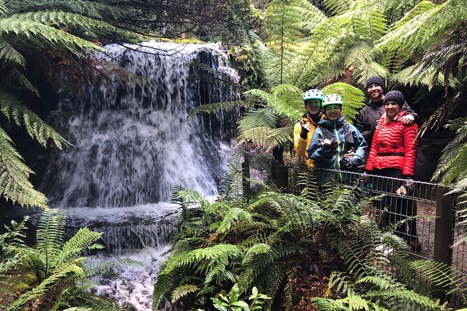 Easy Bike Tour - Mt Wellington Summit Descent & Rainforest Ride - Key points before you book