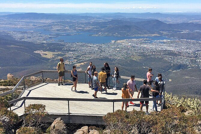 Easy Bike Tour - Mt Wellington Summit Descent & Rainforest Ride - From South Hobart to the summit: where the day starts