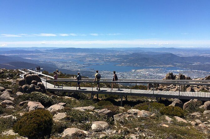 Easy Bike Tour - Mt Wellington Summit Descent & Rainforest Ride - Lost Freight Cafe stop: a real break, not dead time