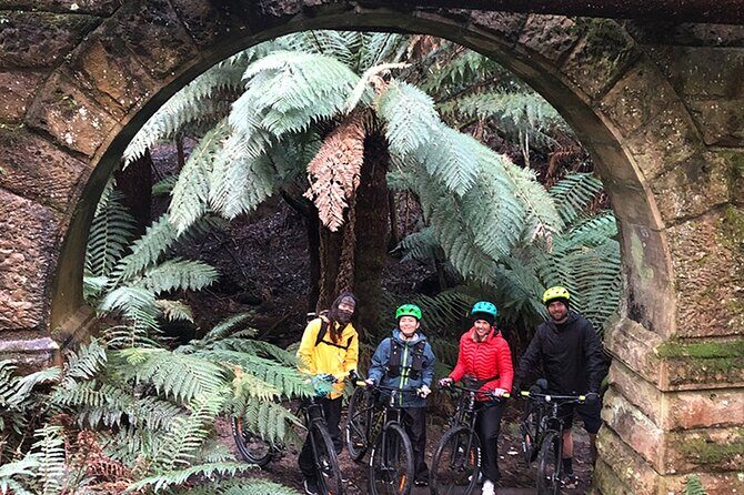 Easy Bike Tour - Mt Wellington Summit Descent & Rainforest Ride - The waterfall moment and why the guide’s stops matter