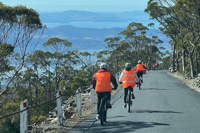 Easy Bike Tour - Mt Wellington Summit Descent & Rainforest Ride - Guides and safety: what small-group really changes