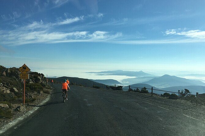 Easy Bike Tour - Mt Wellington Summit Descent & Rainforest Ride - Price and logistics: is $121.21 good value?