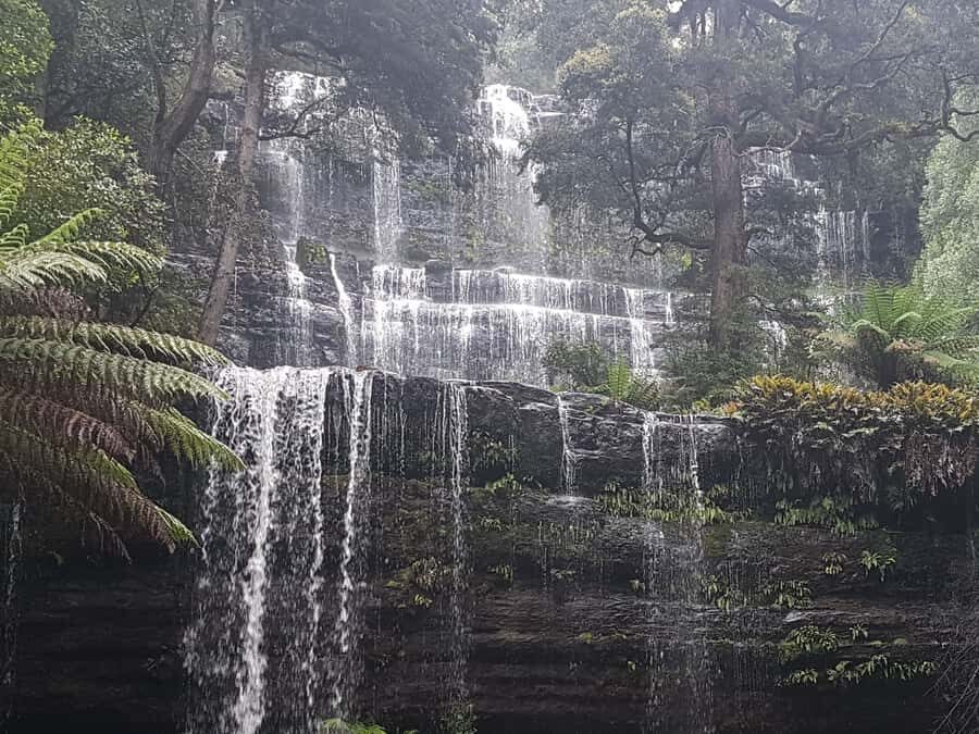 From Hobart: 2 Day Cradle Mountain Tour - From Hobart pickup to wilderness mode: how the tour really starts