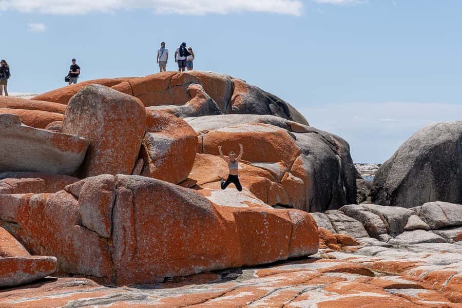 From Hobart: 5-Day Tasmania West & East Coast Tour - Key things I’d circle on your Tasmania checklist