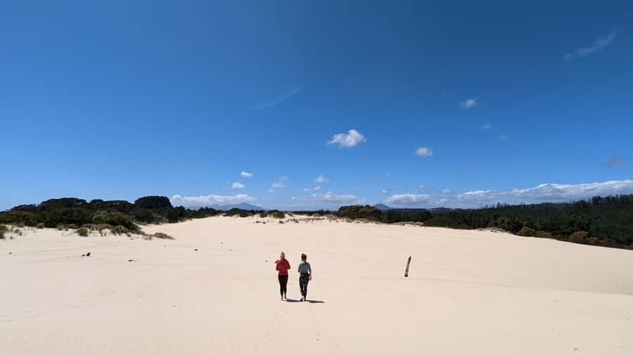 From Hobart: 5-Day Tasmania West & East Coast Tour - Day 2: Henty Dunes and a guided temperate rainforest walk (or the Gordon River cruise)