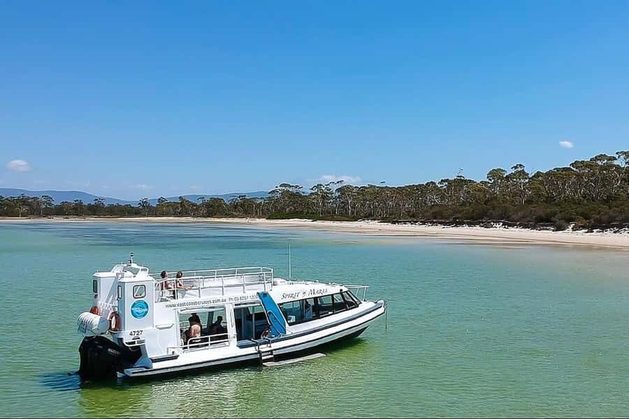 From Hobart: Day Tour to Maria Island with Bus Connection - Maria Island in a Day: What Makes This Cruise Worth It