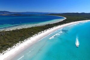 From Hobart: Day Tour to Maria Island with Bus Connection - Hobart to Triabunna: Pickup and the Drive That Sets the Tone