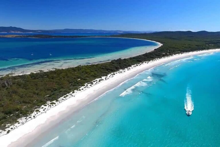 From Hobart: Day Tour to Maria Island with Bus Connection - Hobart to Triabunna: Pickup and the Drive That Sets the Tone