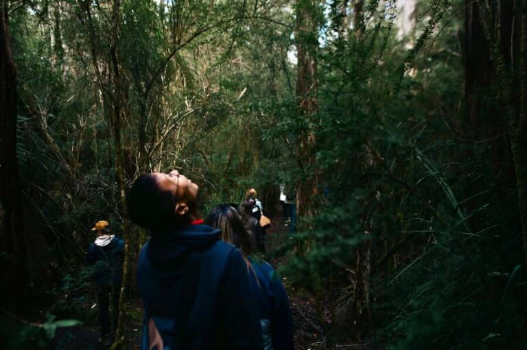 From Hobart: Full-Day Bruny Island Tour with Guide - Getting from Hobart: pickup, ferry, and why the schedule feels controlled